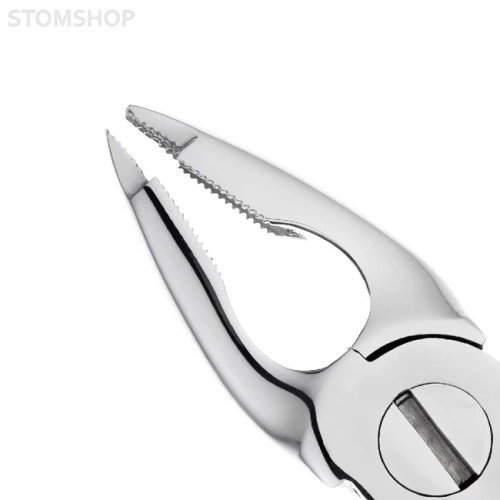 Щипцы для удаления зубов верхние резцы/клыки | HLW Dental Instruments (Германия)