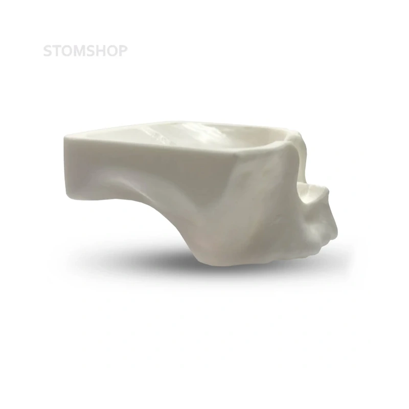 E20L – модель верхней челюсти для практики синус-лифтинга | GF Dental (Италия)