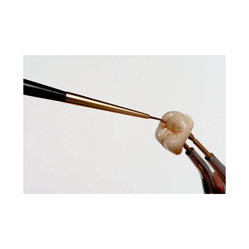 Кисточка PROFI для керамики, размер 4, 2 шт. | Renfert (Германия)