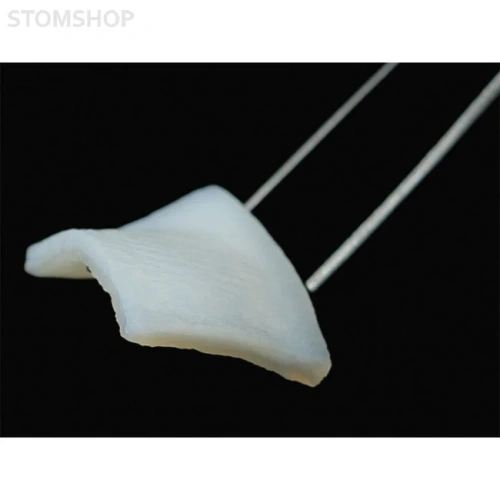 fibroMATRIX - коллагеновый 3D матрикс, размер 30x40 мм | Cardioplant (Россия)