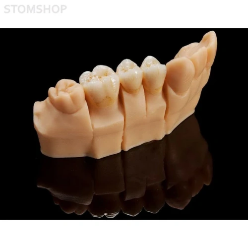 Rapidshape D40 II - 3D-принтер для стоматологии | Rapid Shape GmbH (Германия)