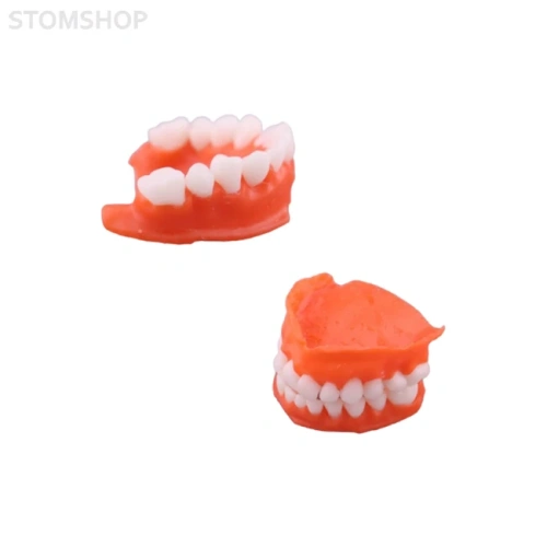 Gorky Liquid Dental Base LCD/DLP - фотополимерная смола для демонстрационных моделей десны, цвет розовый, 1 кг | Gorky Liquid (Россия)