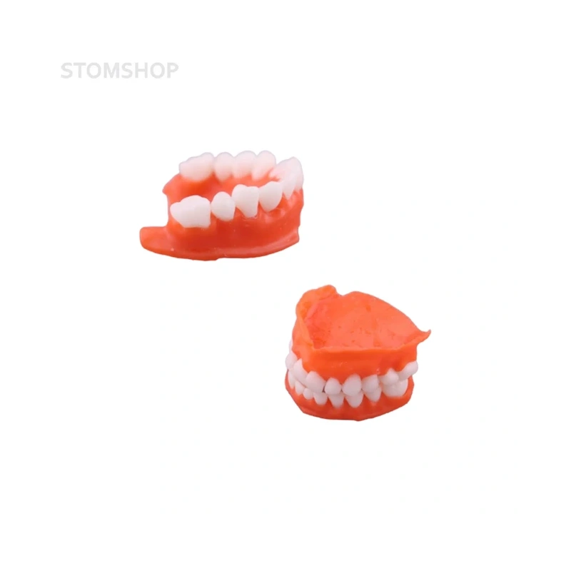 Gorky Liquid Dental Base LCD/DLP - фотополимерная смола для демонстрационных моделей десны, цвет розовый, 1 кг | Gorky Liquid (Россия)