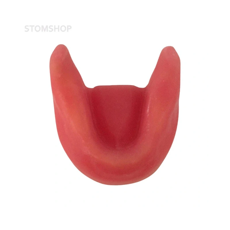 E81G – модель нижней челюсти для практики установки имплантатов | GF Dental (Италия)