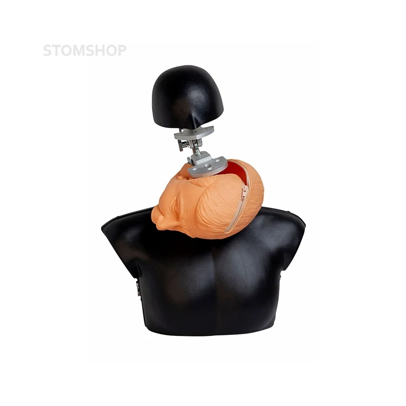 Standart - самодренируемый фантом | Dentalstore (Италия)