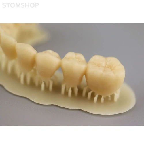 Gorky Liquid Dental Crown LCD/DLP - фотополимерная смола для стоматологии, цвет А1-А2, А2, А3 по шкале Вита, Bleach, 1 кг | Gorky Liquid (Россия)