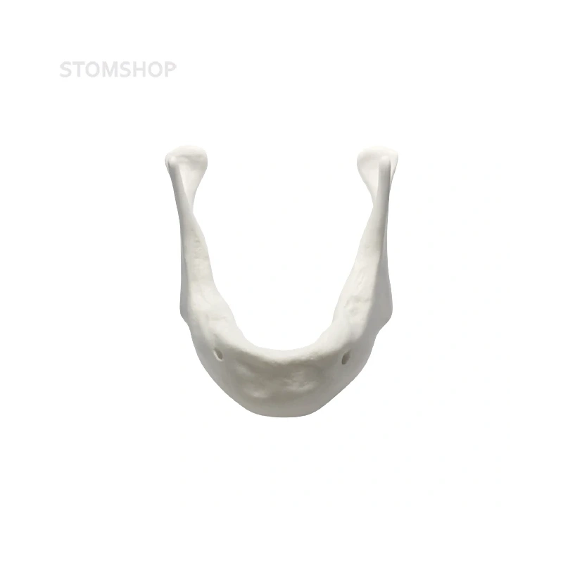 E83 - модель кости для практики установки имплантатов | GF Dental (Италия)