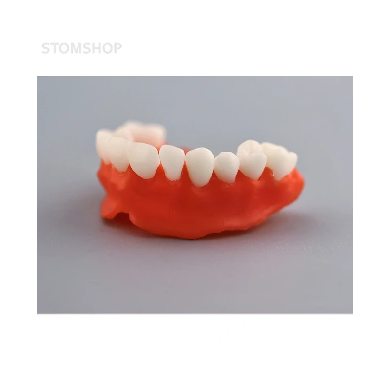 Gorky Liquid Dental Base LCD/DLP - фотополимерная смола для демонстрационных моделей десны, цвет розовый, 1 кг | Gorky Liquid (Россия)